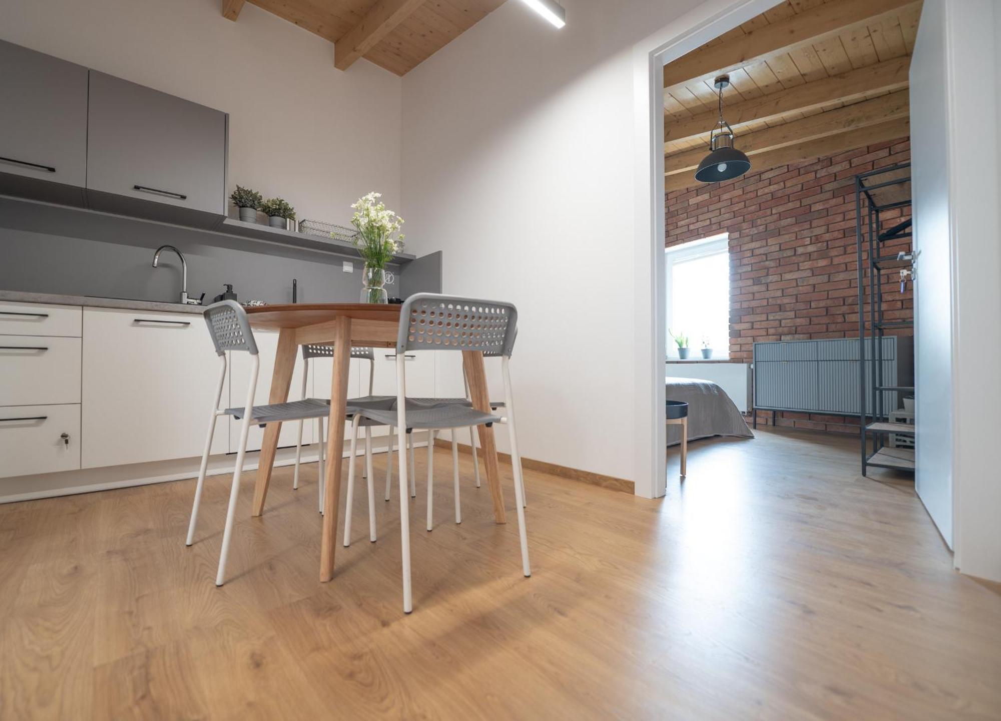 Apartamenty Mlynska 5 Bielsko-Biala Exterior photo